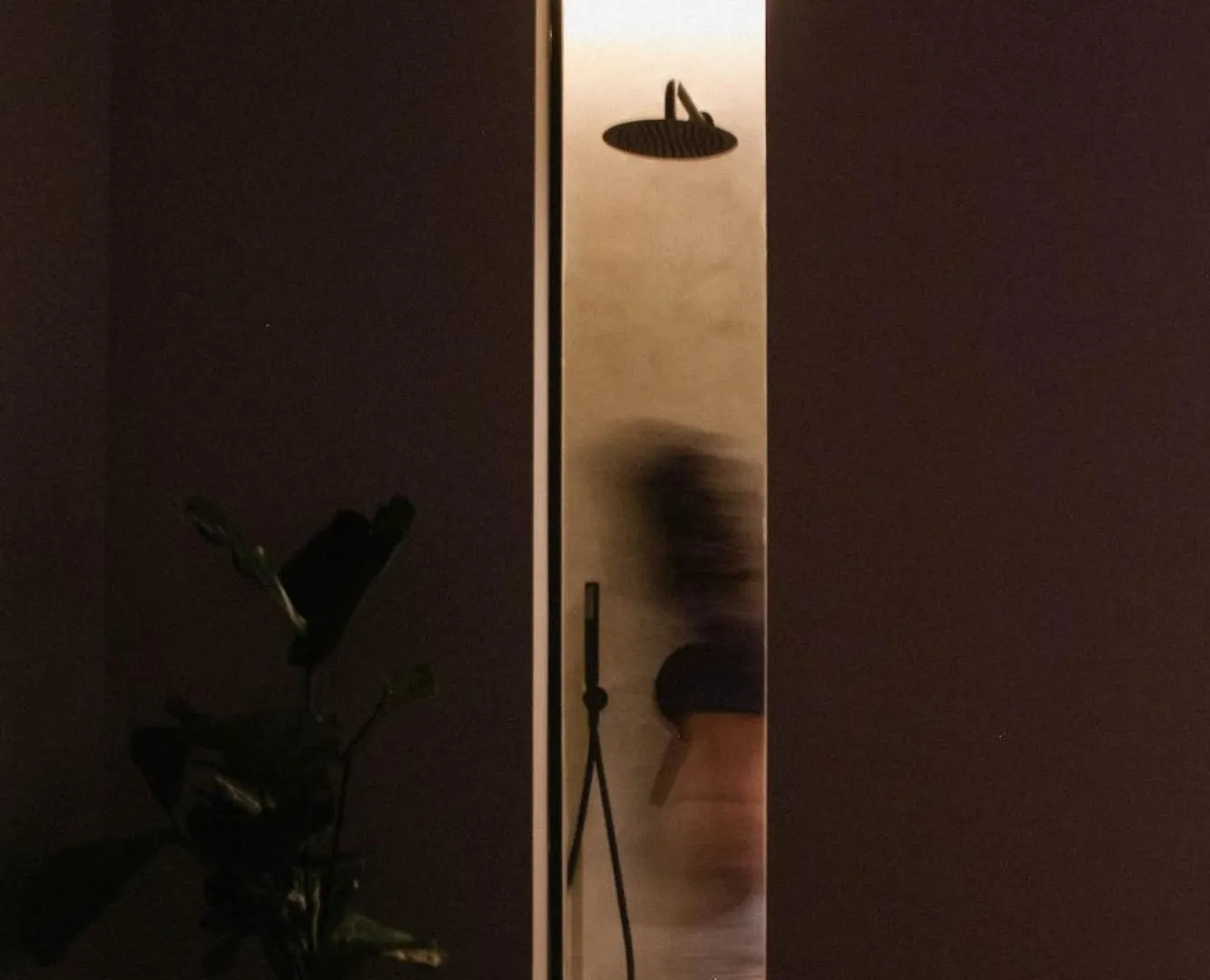 Muz Studios Tirana